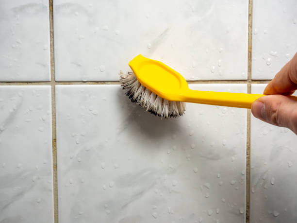 Best Mold Removal and Inspection  in Olivette, MO