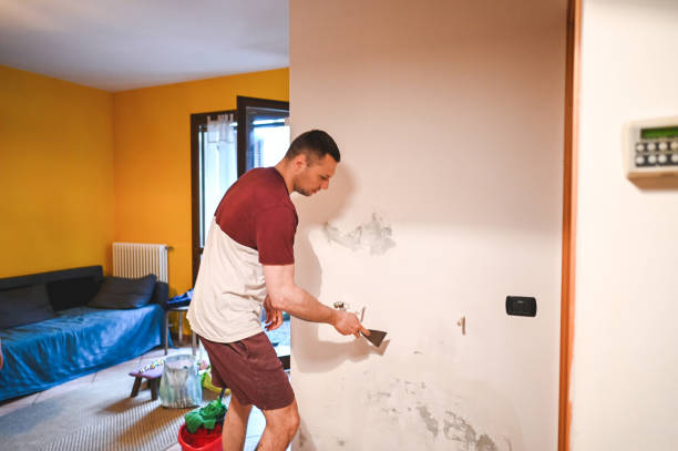 Best Mold Testing  in Olivette, MO